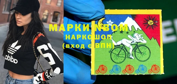 шишки Алзамай