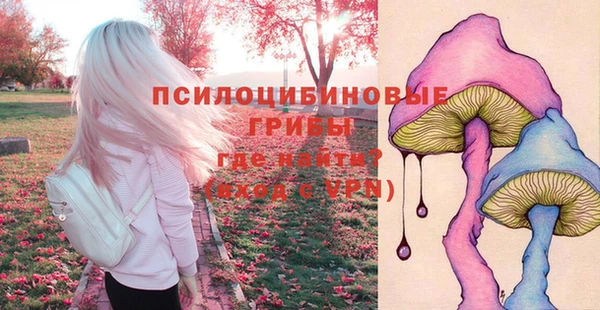 шишки Алзамай