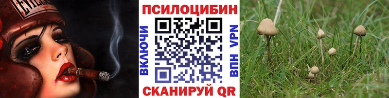 Галлюциногенные грибы GOLDEN TEACHER  Ельня 