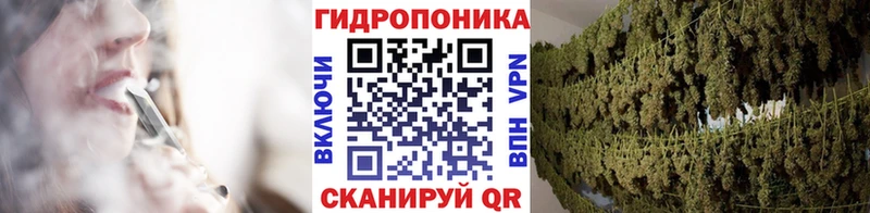 Конопля семена  наркотики  Ельня 
